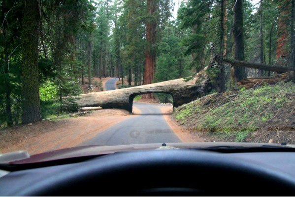 Un túnel inusual, Estado de California