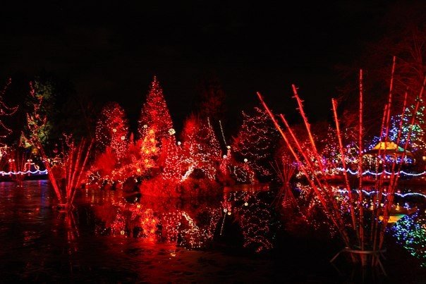 Co roku w Vancouver, w ogrodzie botanicznem Van Dusen, organizuje się festiwal światła – niezwykły spektakl, w którym bierze udział 1 400 000 żarówek. - 6