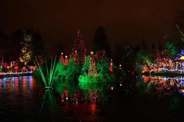 每年在温哥华范杜森植物园举办的灯光节，是一场令人惊叹的视觉盛宴——届时会有140万盏灯被投入使用。