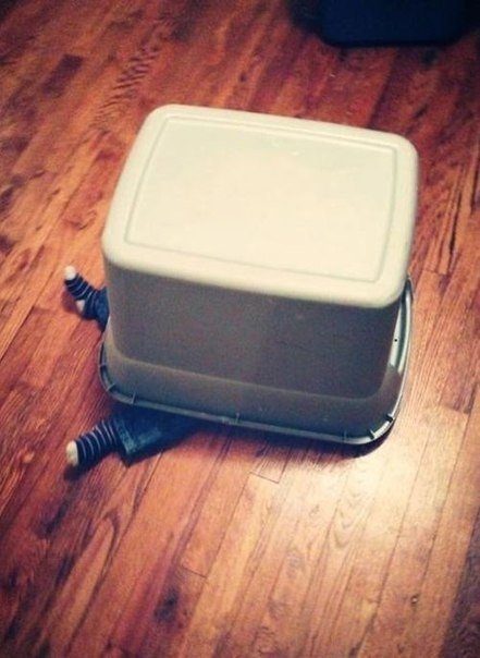 Colección de fotos «Niños divertidos jugando al escondite». - 5