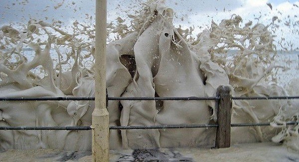 Capuchino Costero. El Capuchino Costero es un fenómeno natural que ocurre muy, muy raramente. - 5