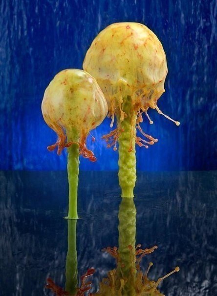 El fotógrafo Jack Long captura las salpicaduras de líquido de tal manera que resultan en formas que parecen flores. - 5