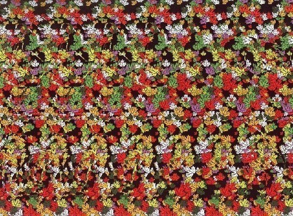 用于训练眼睛的立体图像。 - 5