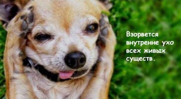 Что случится на Земле, если кислород пропадет на 5 секунд (часть 1). - 2