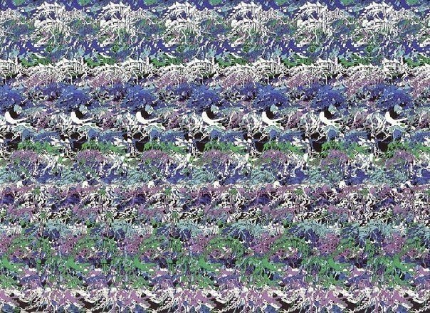 用于训练眼睛的立体图像。 - 7