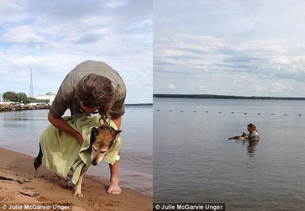 这个关于人与狗之间真挚的爱情与友谊的故事，已经被数百万人所知晓。 - 5