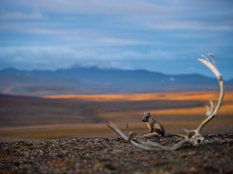 《国家地理》评选出的六月份最佳照片。