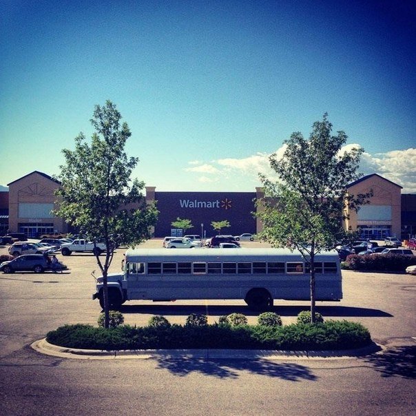 A house on wheels made from a school bus. - 7