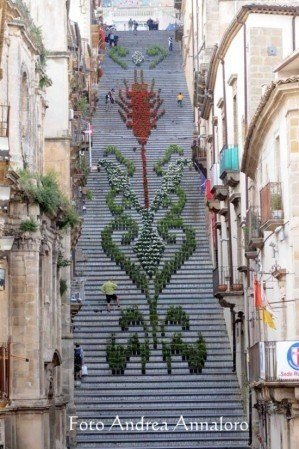 Сицилійс ска листяць квітів та вогню. - 5