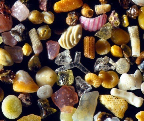 The beauty of these tiny sand grains, seen at 250 times magnification. - 5
