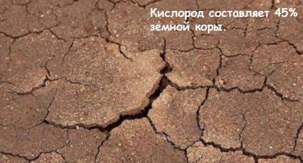 Что случится на Земле, если кислород пропадет на 5 секунд (часть 1). - 4