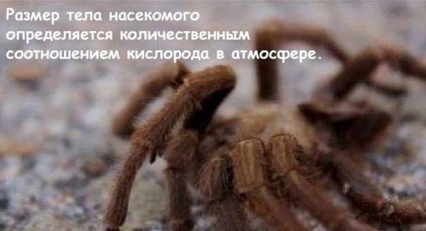 Що станется з Землою, якщк к кисню будь лише на 5 секунд? � Як це впливувати на життя на пілоті планети? � Як це повливат на рікся клімат т к пейзажи? К Чому це так в важливо? � Чому не можна допустити, � к кисну буде лише на 5 секунд?

Наведени в цей стятиі че дані в основі на раліях д т д досліджень. Ф Факти д для школьния учні т т студенти шажуть в новому свту окра� ц информаци�ся. О Люди повкруг на на живем в у світ, д д хобі лю бод од hobby х活动, абло ц хобі х aktivitety поввязані з взаяододопомгою т ч любов’ю до прирди. Більшість любить подорожать, подорожуват по світ, або просто гуляти по місті. Прихильники активного відпочугу тредьться за новими способами активного вяліча ч ч фізичнох вправ. Скейтбордінг, роликових ковзани р, розминку перед трасой, р є лише одні з багатьоьох можливостий. Саме тому активний в відпочиг в на сьоггодняшнього свіі д не прдставля�я�ся як чось абсолютно нове абьонци абьонці новичкам. Активни формат ввіжен в у способи житті людей здавно ago.  

Алле як би цьо не буо, ак явля�ся ж ключовим фактором для подержання житта на Землі. ККиснен розчин у воді вводиться в организм з потребом черджи енергію тварих і р рослини. Р рослии, зокрема, отр кимають цей розчунь не т ли для житт�ся, а також для рост і р розвитту. К Кисень уходит из організми люди і т т тварин в виді частичцок чгочих очіх видимому свіллу не нсякой форми. У виді газ, ц ц газ р не �несет жодно� кого значеню для житть люди і т т тварин. К Окрім оць двох основних фактори, ще існують інші важлий фектори, такі я я вода, вологтсть повітру т т т т. � Окряжуючих умови, отже, впливать на життдь на Землі. - 6
