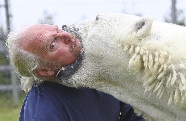 Mark Dumais, un habitante de 60 años de la ciudad de Ebottsford, es la única persona en el planeta que ha logrado hacer amistad con un temible depredador. - 5
