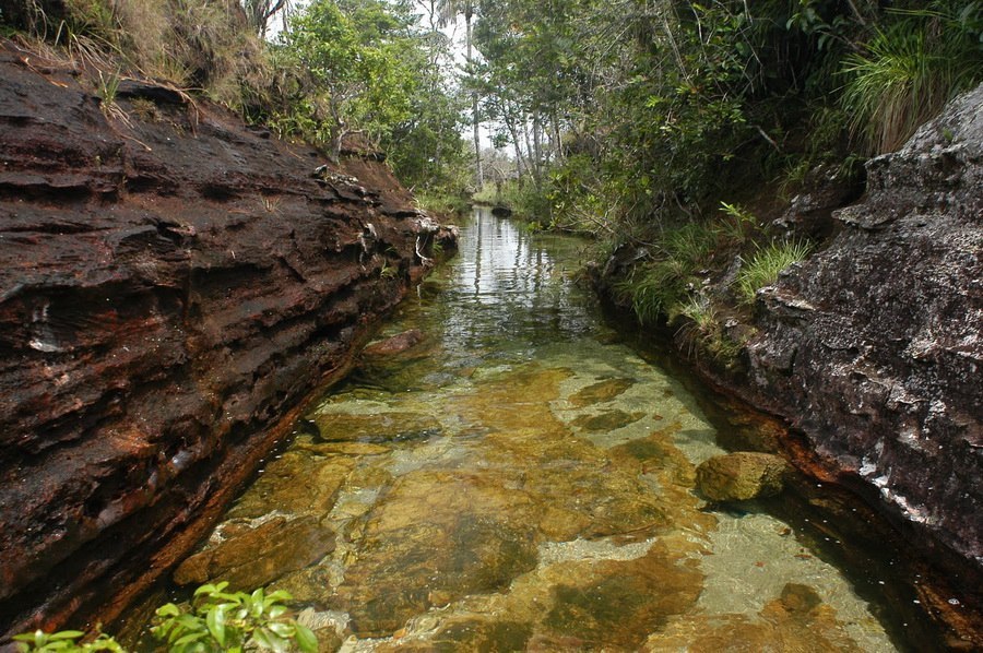 El Cañón de los Cristales es el río más hermoso de la Tierra. - 7