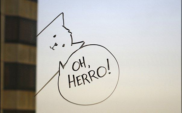 Garrett Miller und seine Zeichnungen an den Fenstern. - 6