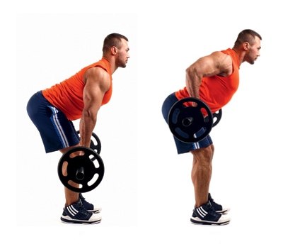 ТЯГА ШТАНГИ В НАКЛОНЕ. Базовое упражнение, которое позволяет проработать практически все мышцы спины, отлично помогает развить силу и мышечную массу. Развивает широчайшую, трапециевидную, ромбовидную и мышцы разгибатели позвоночника. Это технически сложно