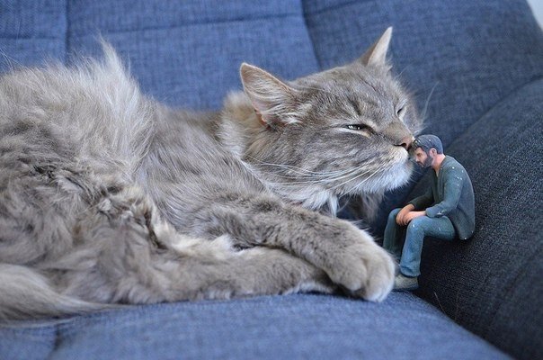 Приключения грустного Киану Ривза.