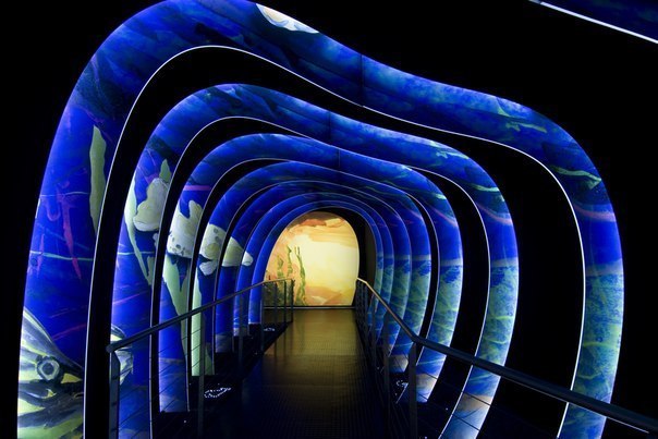 Музей Swarovski и его кристаллические миры.. Имя Сваровски известно всем. Но то, что в Австрии есть музей кристаллов, который носит название "Кристаллические миры Swarovski", знают далеко не все. Этот музей расположен в небольшом городе Ваттенсе, который 