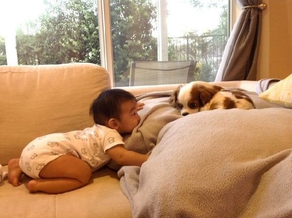 Реакция младенцев, которые увидели собаку - 7