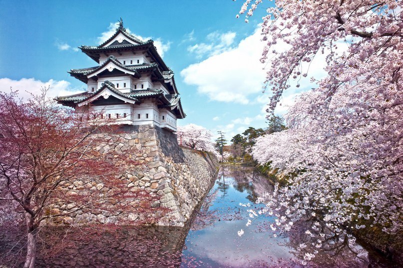 Замок Хиросаки, Япония