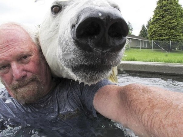 Mark Dumais, un habitante de 60 años de la ciudad de Ebottsford, es la única persona en el planeta que ha logrado hacer amistad con un temible depredador. - 6