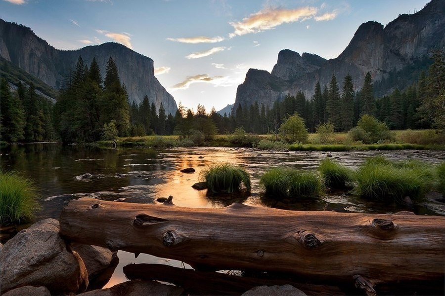 View in Yosemite National Park