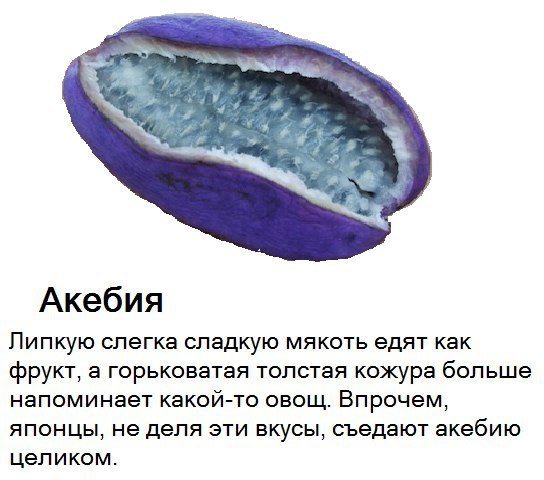 You must try this at some point in your life!