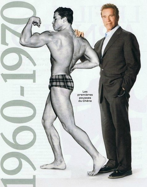 Arnold en la cima de sus años dorados… - 5