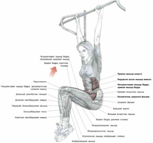 Elevación de las piernas en el aire: técnicas y consejos.