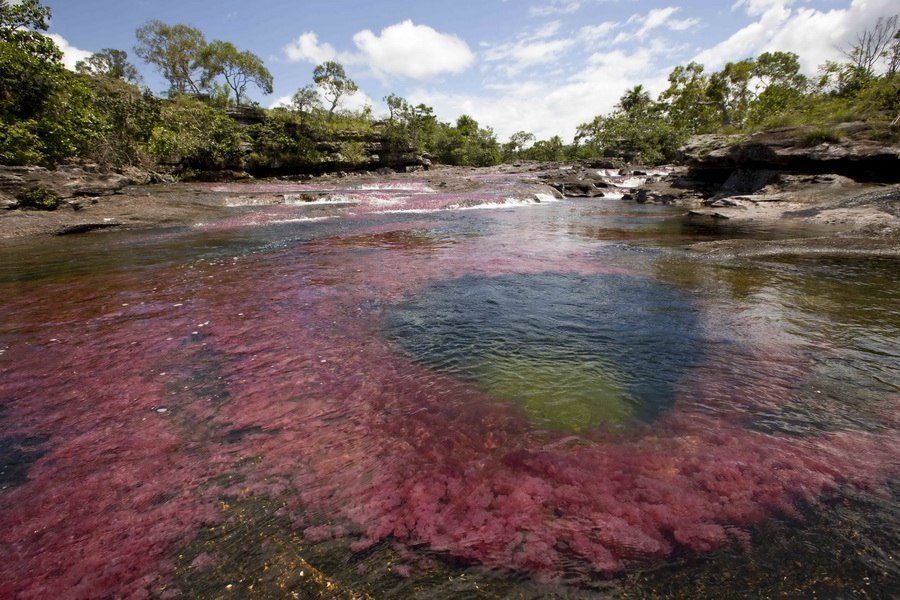 El Cañón de los Cristales es el río más hermoso de la Tierra. - 2