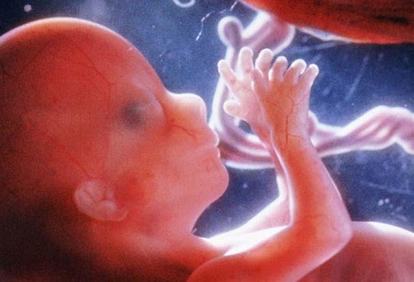 The emergence and development of life in a child within the mother's womb. - 5