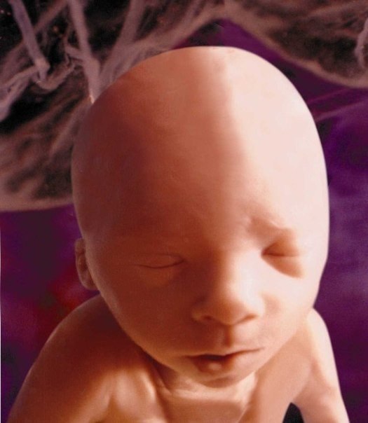 The emergence and development of life in a child within the mother's womb. - 7