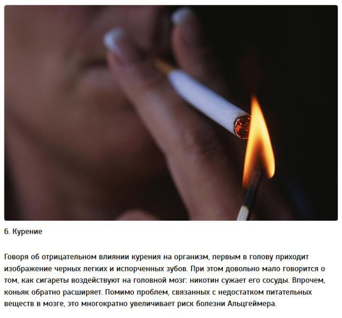 10 вещей, плохо влияющих на мозг - 5