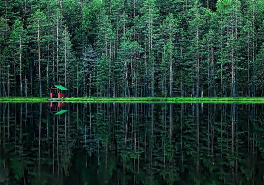 Радоновое озеро, Ленинградская область, Россия