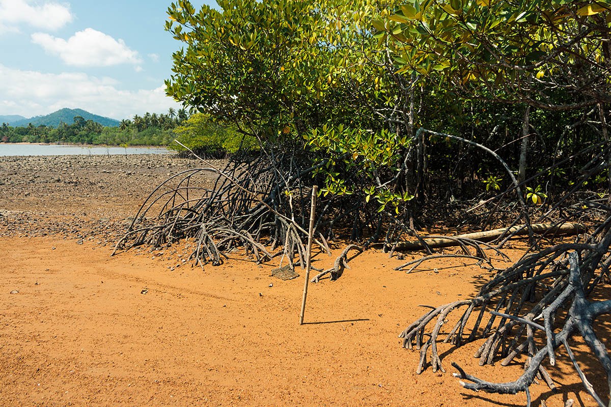 Thailand, Ko Chang - 6