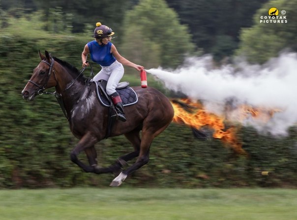 Йошкар-Ола - 6