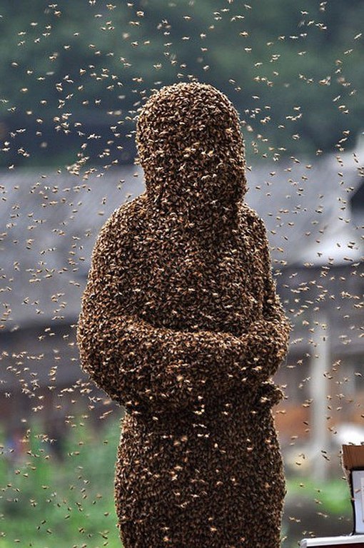 Kostüm aus 26 Kilogramm Bienen. - 6
