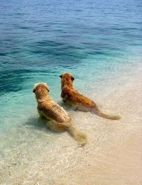 Всегда восхищаюсь красотой моря.