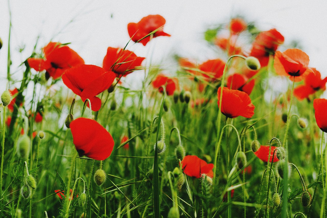 Прекрасна Італія!