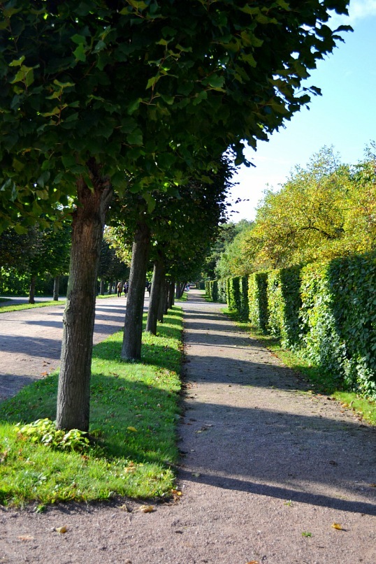 Кусково, Москва - 7