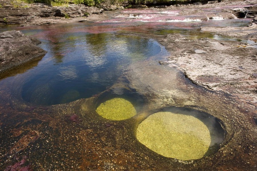 El Cañón de los Cristales es el río más hermoso de la Tierra. - 1