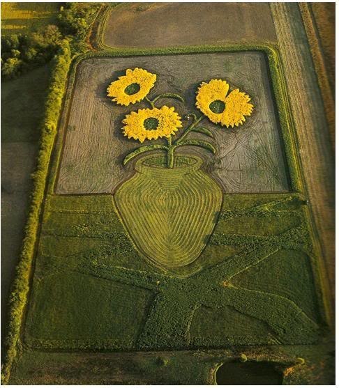 Asombrosas imágenes que se pueden observar en los campos.