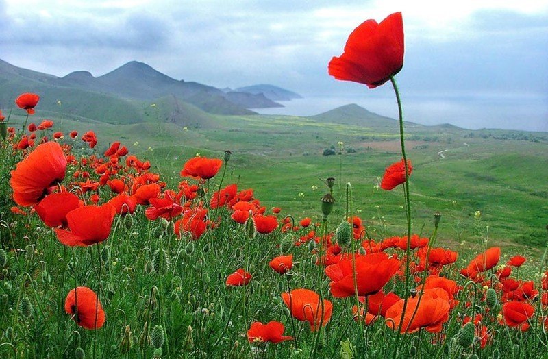 Spring in the Crimea