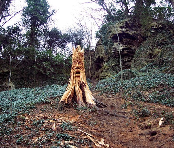 Esculturas forestales… Recientemente, aparecieron algunas esculturas muy interesantes en un área boscosa cercana a la ciudad de Narsborough, en el Reino Unido.