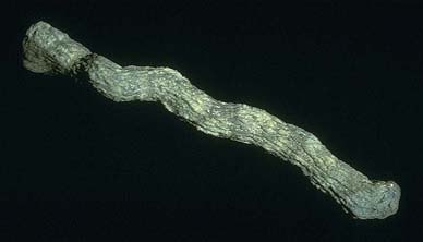 ¿Sabías que... si una potente descarga eléctrica golpea la superficie de la tierra, puede dejar su marca: un tubo de vidrio parcialmente transparente llamado fulgurita? - 6