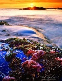 Я завжди захоплююся красою моря. - 5