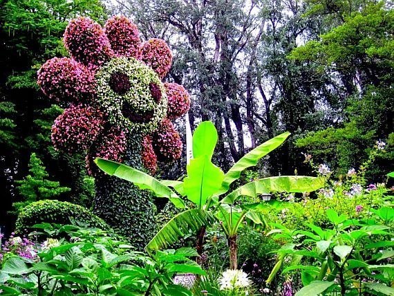 Майнау - остров цветов.. Этот крошечный остров располагается в Боденском озере прямо возле немецкого города Констанц. - 4