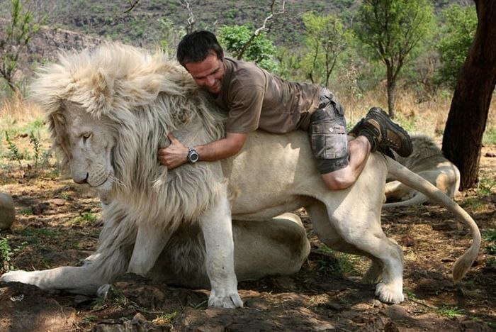 Kevin Richardson – „Magician of Animals“<br>Specjalista ds. zachowania dzikich zwierząt, Kevin Richardson stał się sławny dzięki temu, że nauczył się porozumiewać się z drapieżnikami tak samo jak z domowymi zwierzętami: objmuja i tuli do siebie lwy, hyeny, gepardy, leopardy, a mimo to te dzikie zwierzęta nie atakują go. - 5