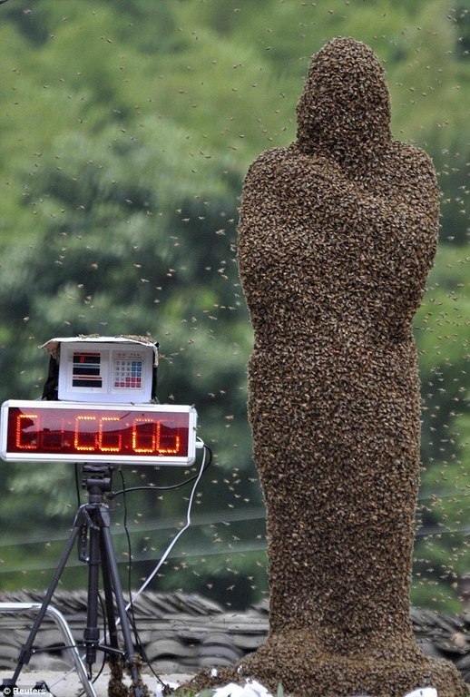 Kostüm aus 26 Kilogramm Bienen. - 7