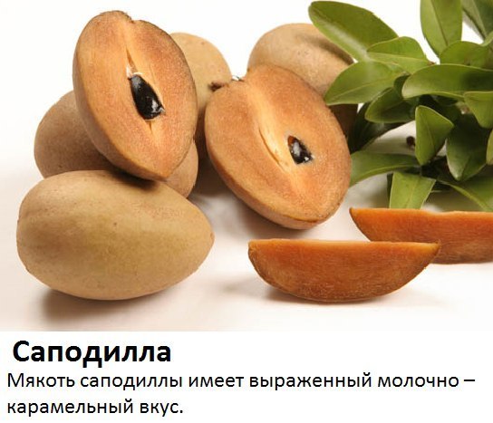 ¡Es algo que hay que probar antes de morir! - 5